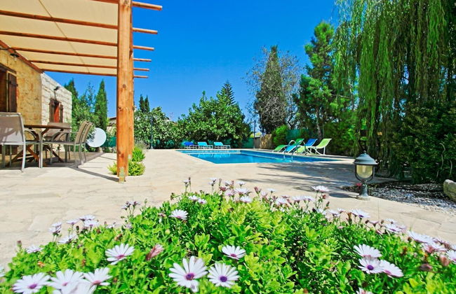 Simeon Estate in Drouseia - Foto 6