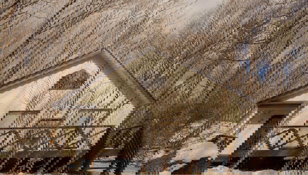 Image principale