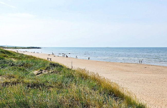 4 Person Holiday Home in Falkenberg - Foto 14
