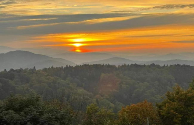 Familienurlaub im Bayerischen Wald - Foto 29