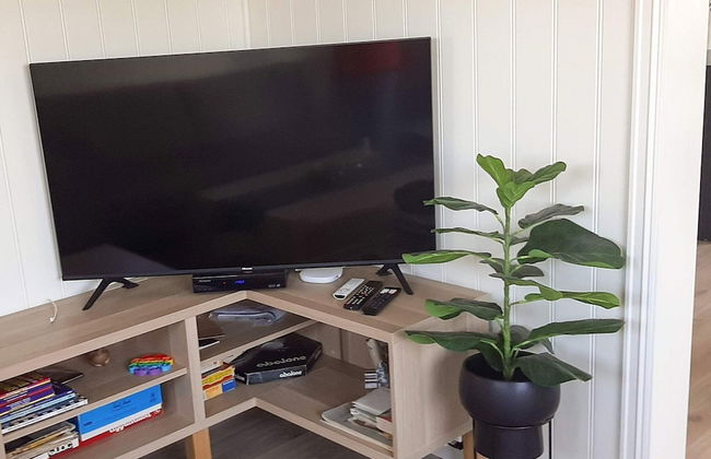 4 Person Holiday Home in Borhaug - Foto 14