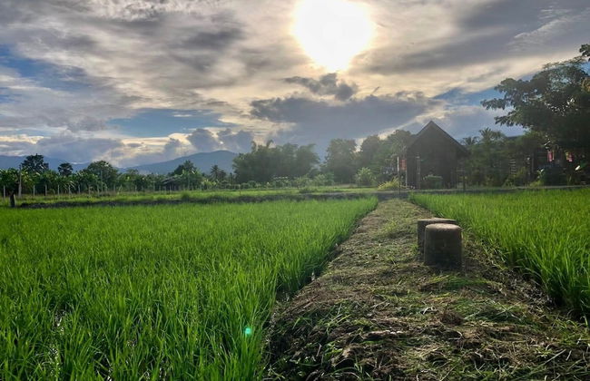 hueankwankhao - Foto 49