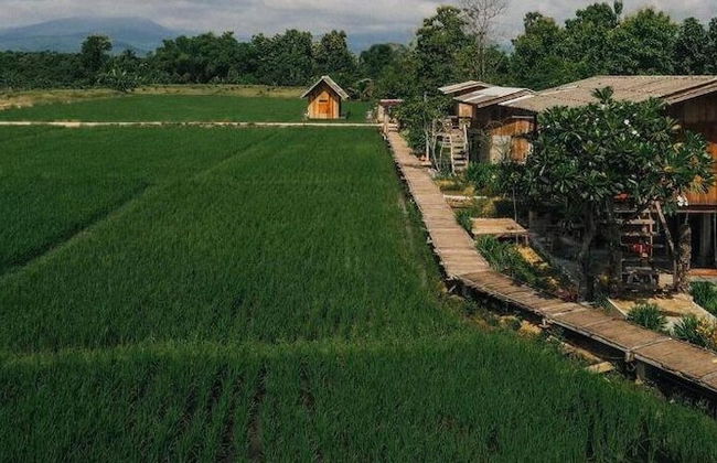 hueankwankhao - Foto 46
