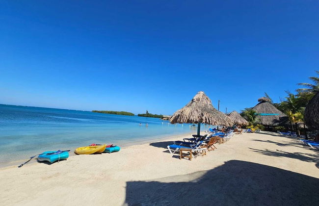 Casa Margarita - Photo 13