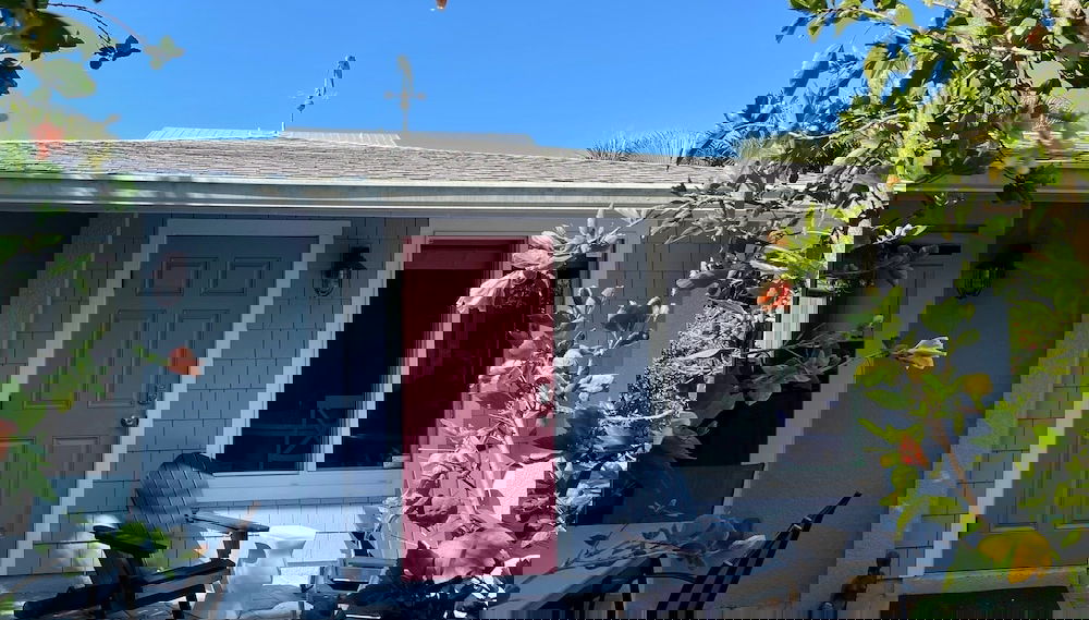 Imagem principal