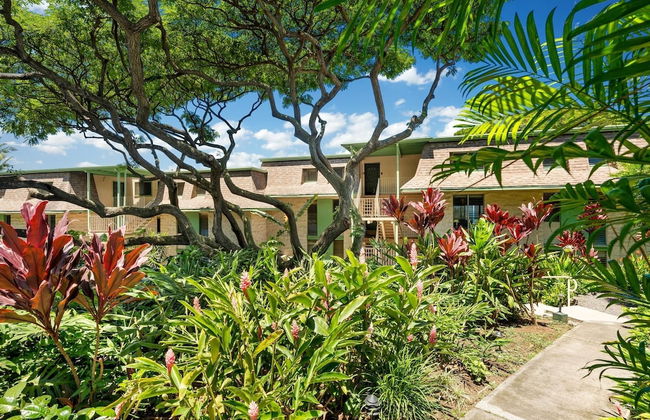 Big Island Keauhou Akahi #311 1 Bedroom Home - Foto 33