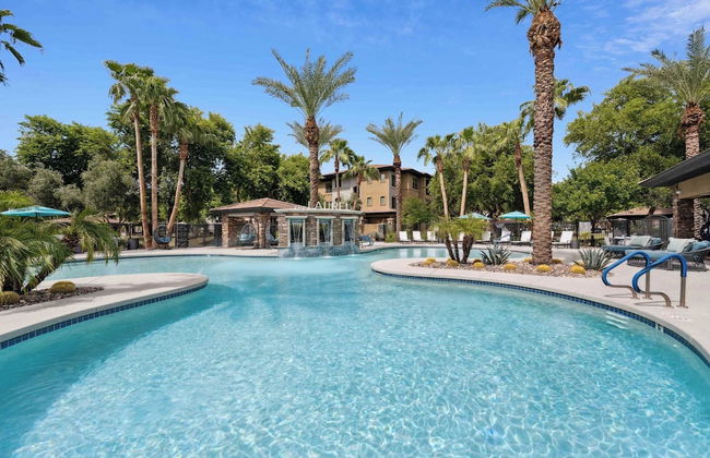 The Laurel Apartments in Chandler - Foto 1