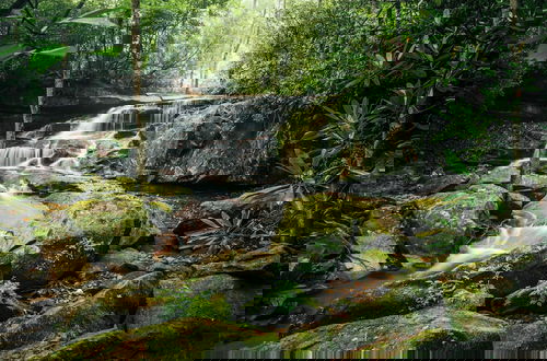 Foto 7 - Tuxedo Falls
