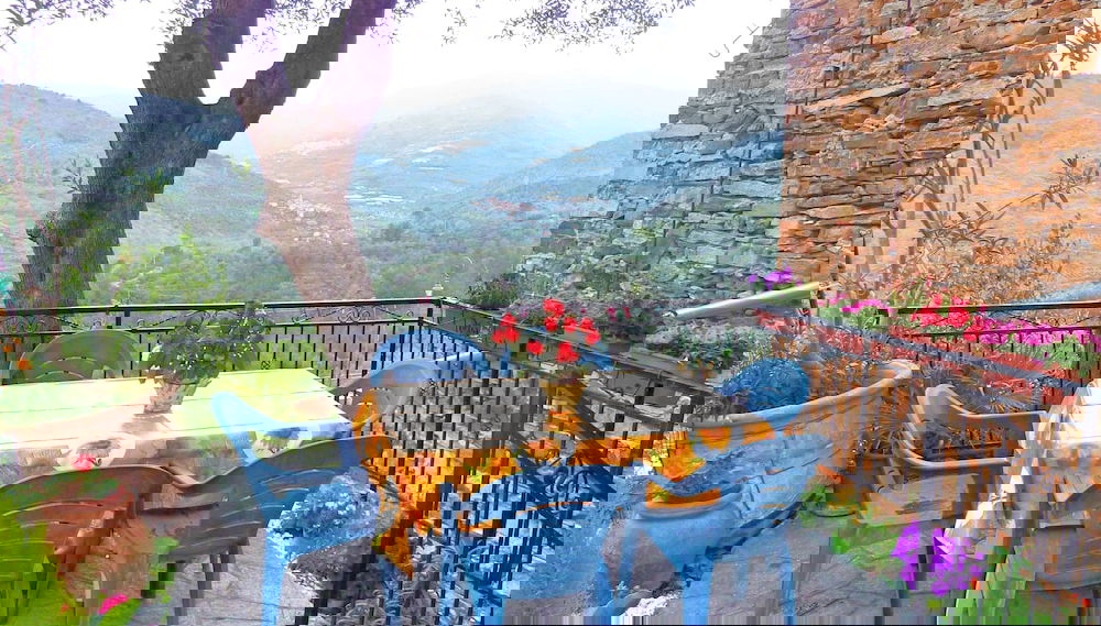 Image principale