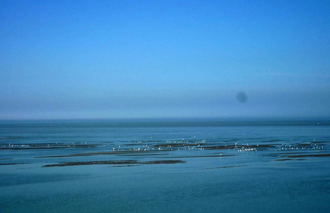 Holiday Home in Cayeux-sur-mer Near Bay of Somme - Foto 16