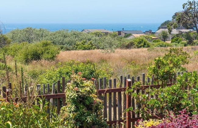 Sea Pebble Sea Ranch Retreat! - Photo 14