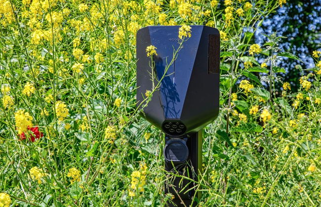Villa on Texel Near Wadden Sea & Bird Area - Foto 34