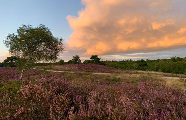 Getaway With Garden in Gelderland - Foto 22