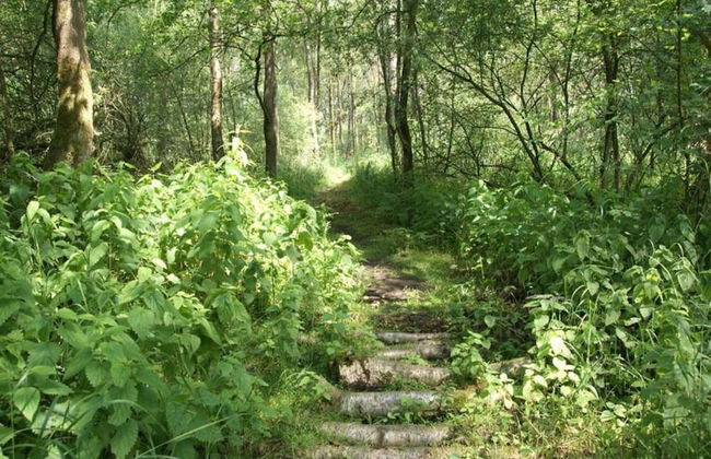 Getaway With Garden in Gelderland - Foto 27