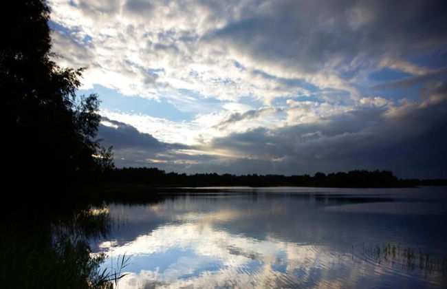 Getaway With Garden in Gelderland - Foto 35