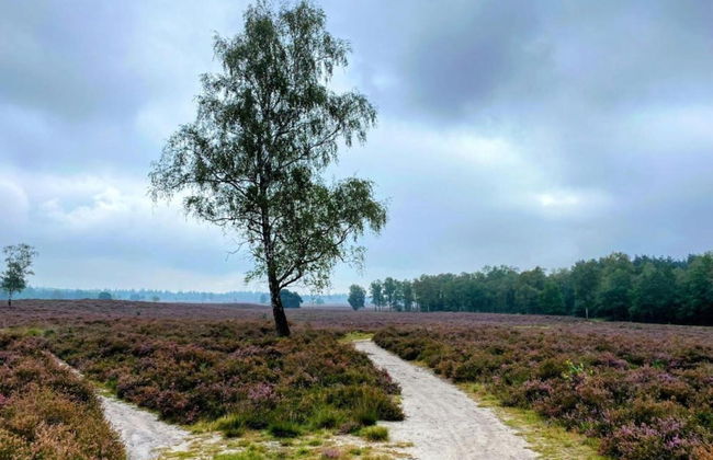 Getaway With Garden in Gelderland - Foto 36