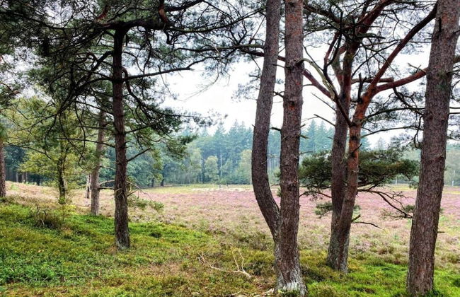 Getaway With Garden in Gelderland - Foto 34