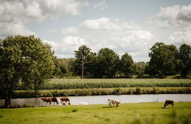 Getaway With Garden in Gelderland - Foto 32
