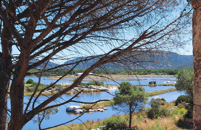 Apartment in Corsica Near Palombaggia Beach - Foto 31
