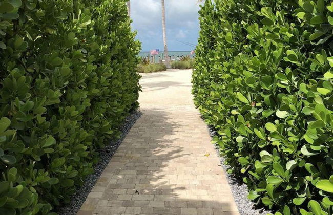 2 Beautiful 4 Bed 3 Bath Pool Home w Free Dock - Photo 6