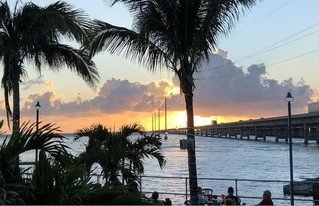 2 Beautiful 4 Bed 3 Bath Pool Home w Free Dock - Photo 30