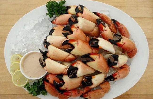 2 Beautiful 4 Bed 3 Bath Pool Home w Free Dock - Photo 34