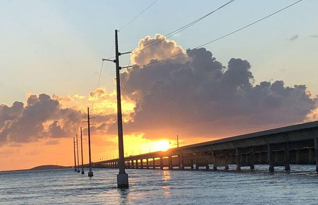 2 Beautiful 4 Bed 3 Bath Pool Home w Free Dock - Photo 31