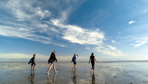 Strand