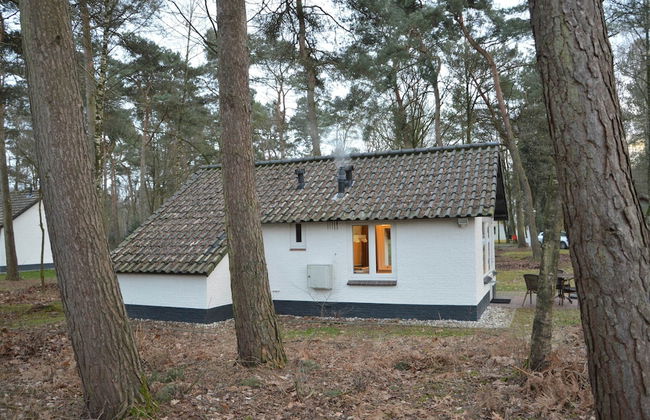 Completely Detached Bungalow in a Nature-filled Park by a Large fen - Foto 79