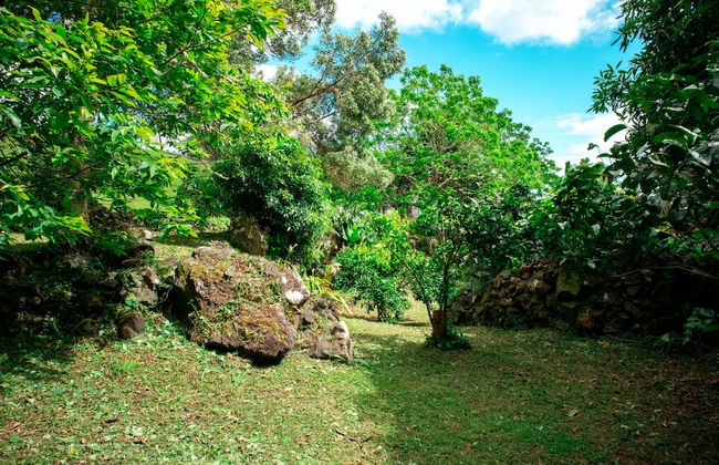 Franco da Serra Country House - Foto 66