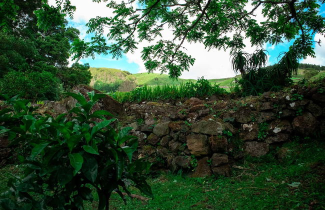 Franco da Serra Country House - Foto 68