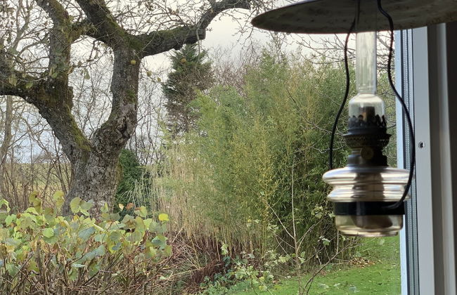 Villa Maria Garden Cottages - Photo 1