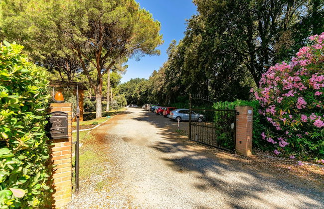 Residence with pool in Guardistallo - Photo 12