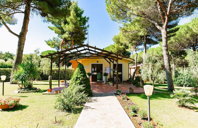 Residence with pool in Guardistallo - Photo 14