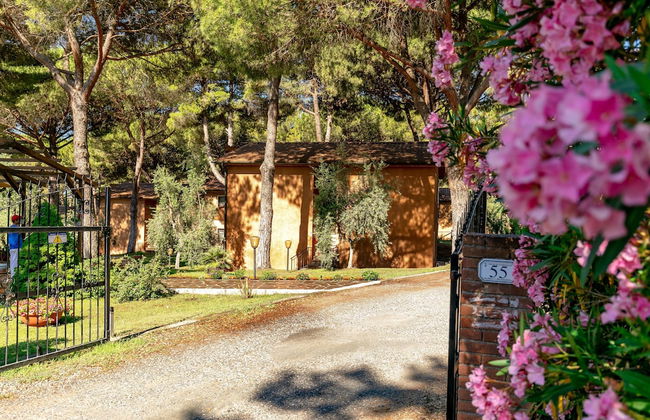 Residence with pool in Guardistallo - Photo 19