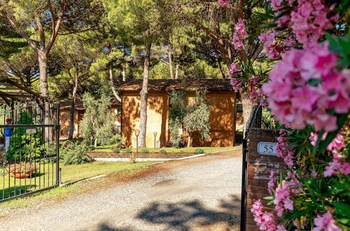 Photo 19 - Residence with pool in Guardistallo