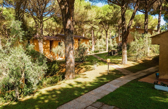 Residence with pool in Guardistallo - Photo 21