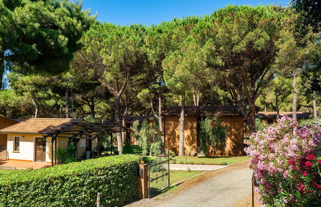 Residence with pool in Guardistallo - Photo 13