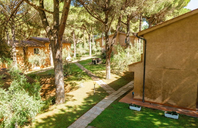 Residence with pool in Guardistallo - Photo 20