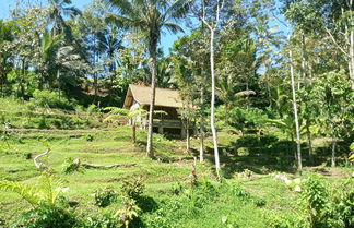 Photo 1 - duegoal farmhouse