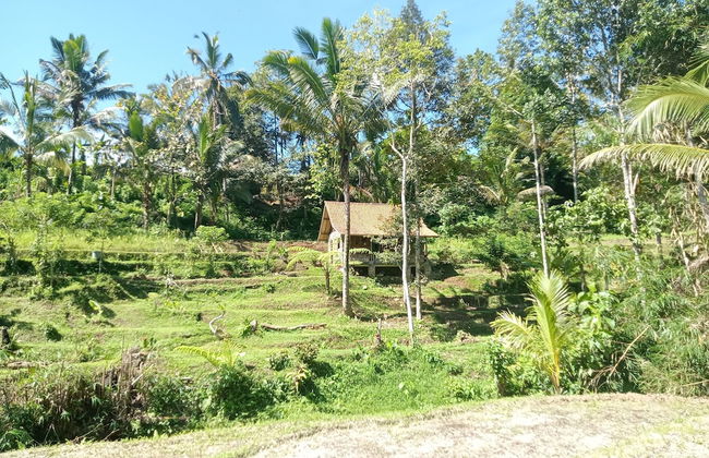 duegoal farmhouse - Foto 37