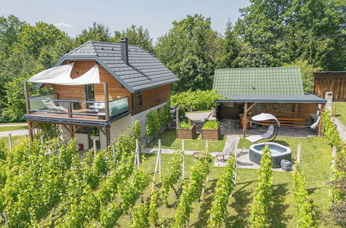 Photo 8 - Luxury Vineyard Retreat Matej