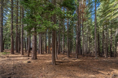 Foto 28 - Tahoe Donner Cabin in the Woods