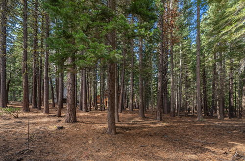 Photo 28 - Tahoe Donner Cabin in the Woods