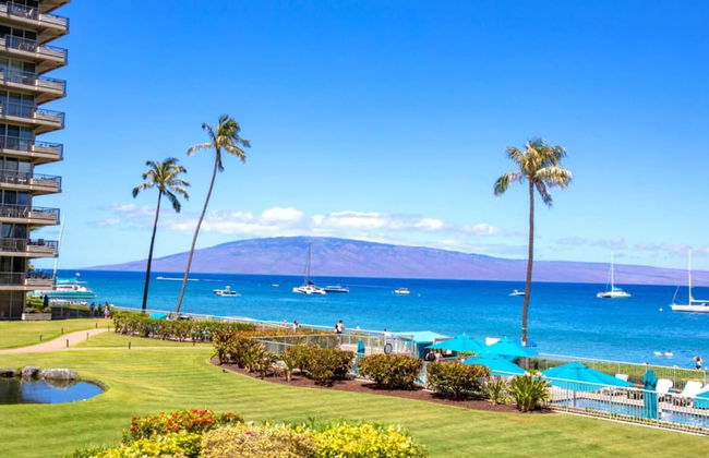 The Whaler by KBM - Foto 78