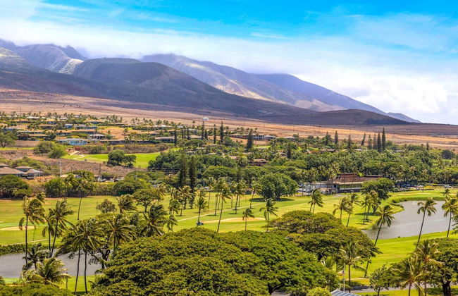 The Whaler by KBM - Foto 80