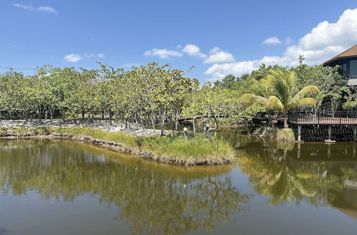 Photo 74 - The Beatles Lagoon