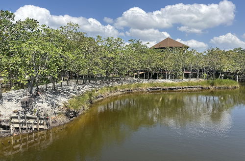 Photo 76 - The Beatles Lagoon