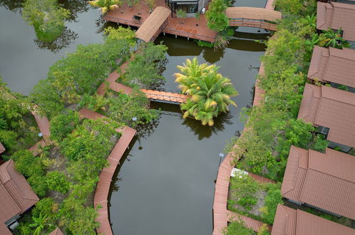 Photo 46 - The Beatles Lagoon