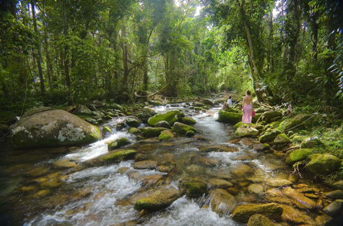 Photo 1 - Misty Mountains Rainforest Retreat